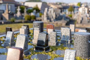 樹木葬石碑　接写